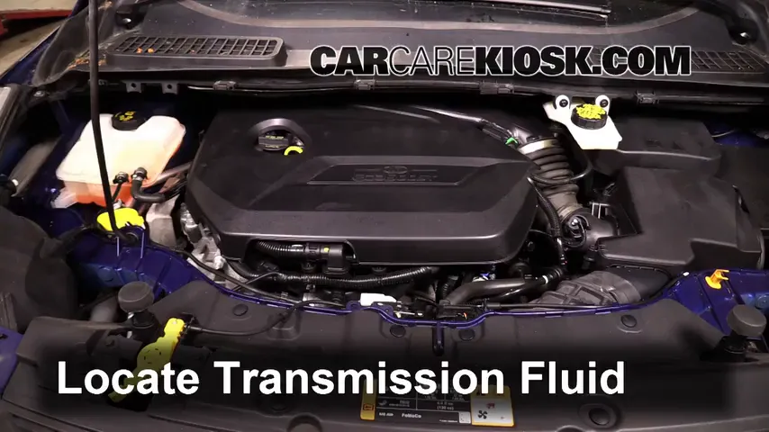 2015 Ford Escape SE 1.6L 4 Cyl. Turbo Transmission Fluid Add Fluid